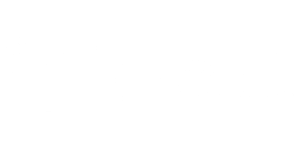 35. FICCI_BLANCO