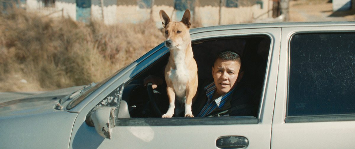 Imagen de la película