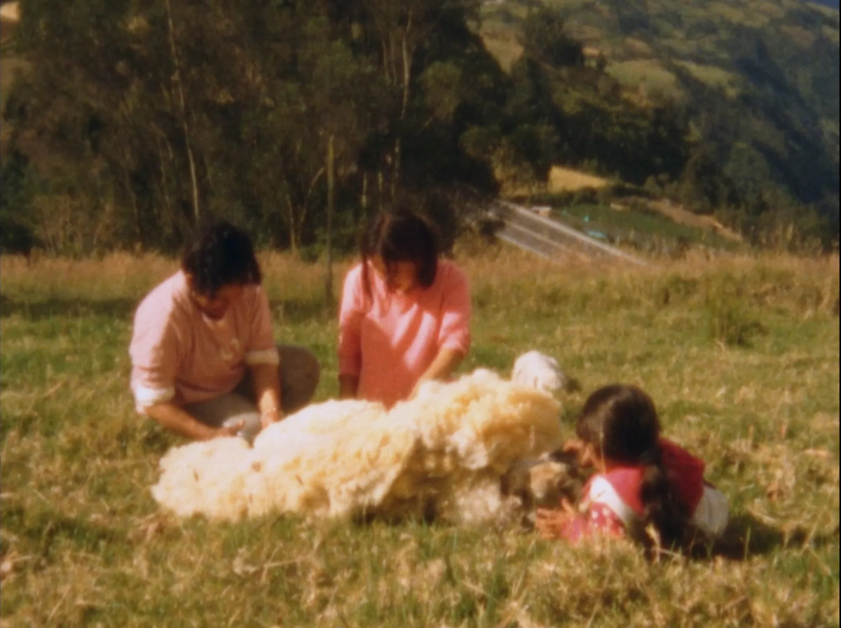 Imagen de la película