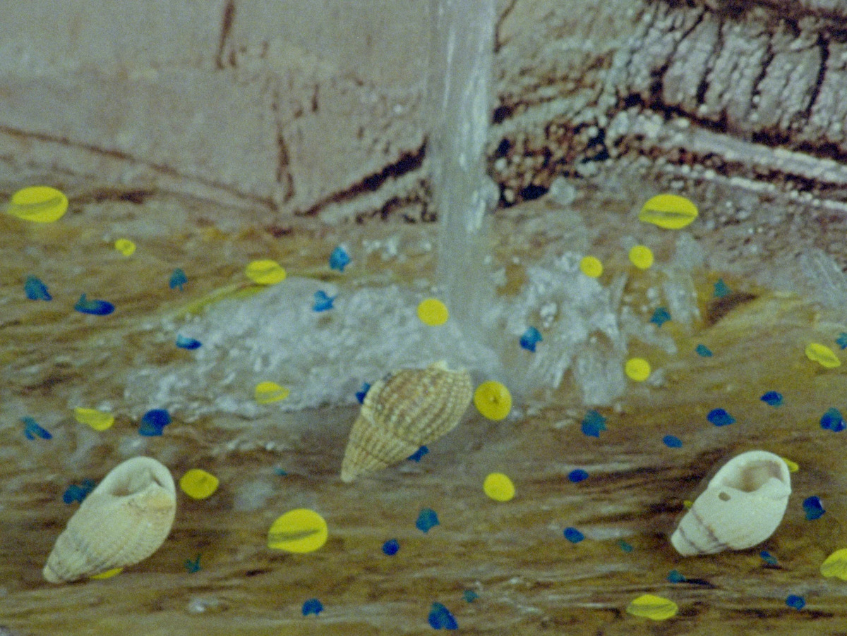 Imagen de la película