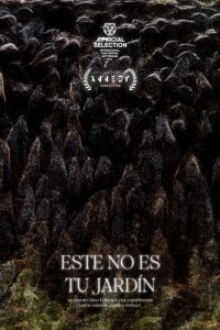 poster-11